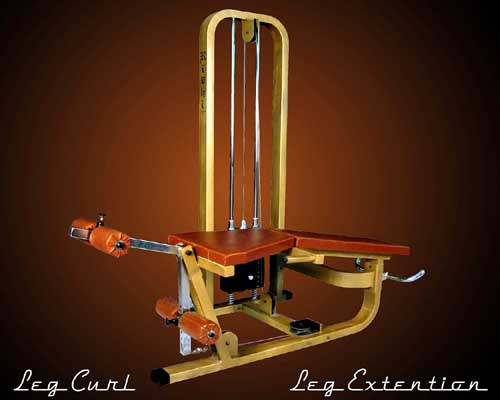 Manufacturers Exporters and Wholesale Suppliers of Leg Extension JODHPUR Rajasthan